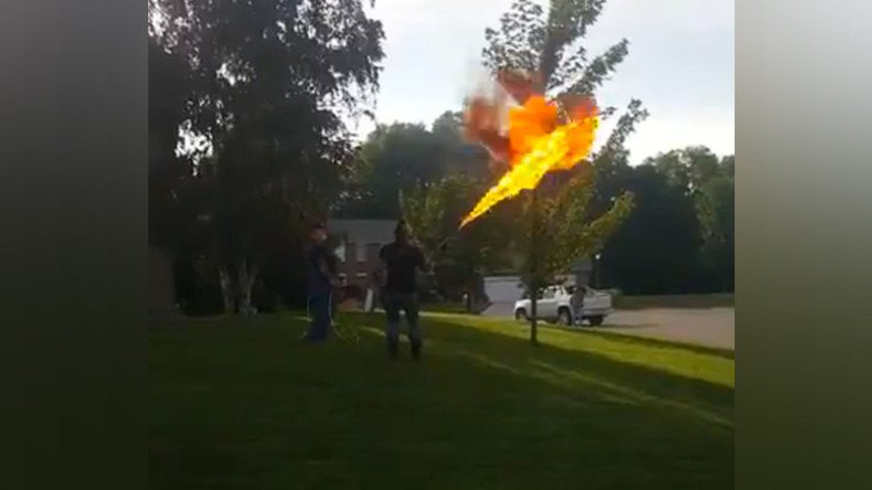 Stirring up an actual hornet’s nest: Flamethrower used for pesky pests (VIDEO)
