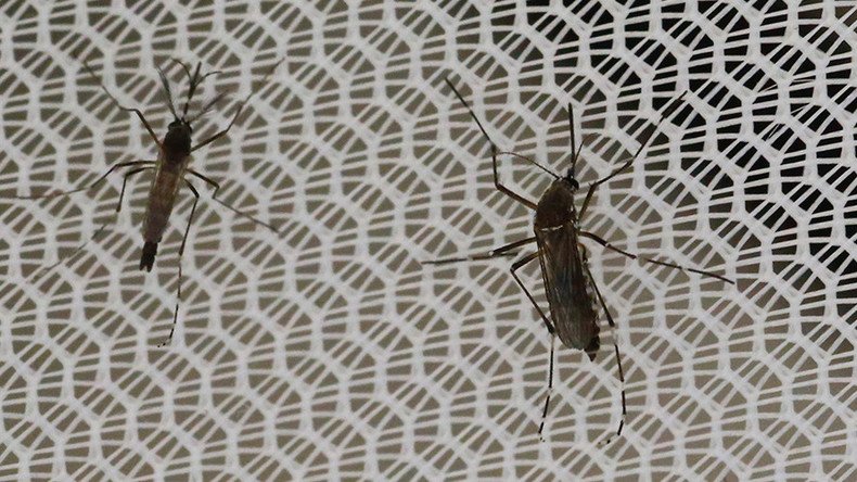 Brazil using drones to fight Zika, Cuba deploys army 