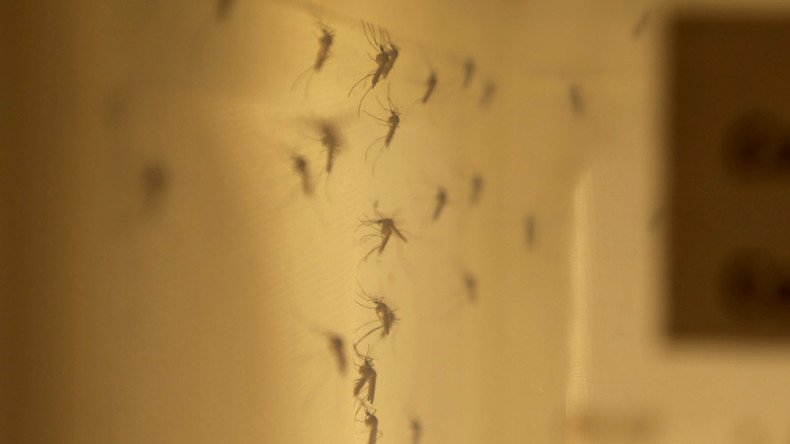 Texas hospitals develop first rapid Zika detection test