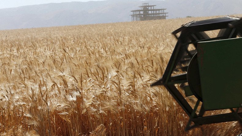 Russia to up grain production 25% by 2030 - Agriculture ministry