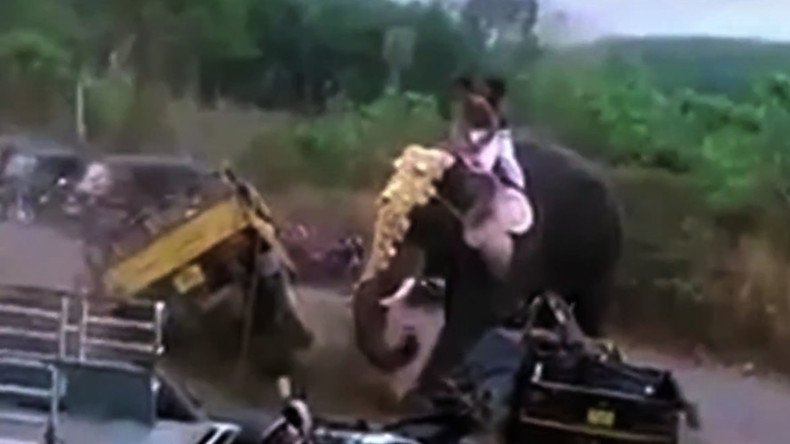 Trunk road rage: Angry elephant goes on epic rampage (VIDEO)