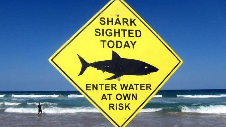 Stalking Jaws: $250k drones to safeguard Aussie swimmers from sharks (PHOTO)