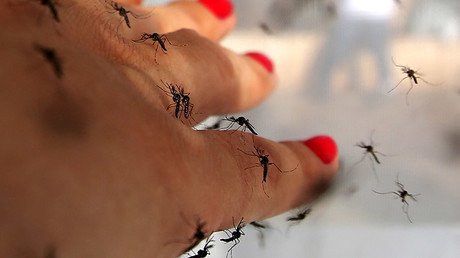 Florida governor declares Zika virus emergency in four counties