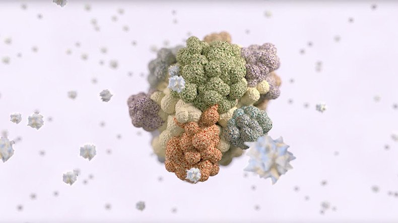 Targeting cancer’s ‘Achilles heel’ could revolutionize treatment, scientists claim (VIDEO)
