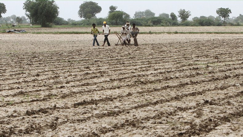 Monsanto threatens to quit Indian GM-cotton market if govt cuts its royalties