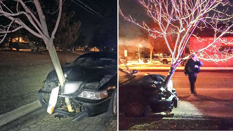 All up in my grill: Tree stuck in moving car alerts police to alleged drunk driver (VIDEO)