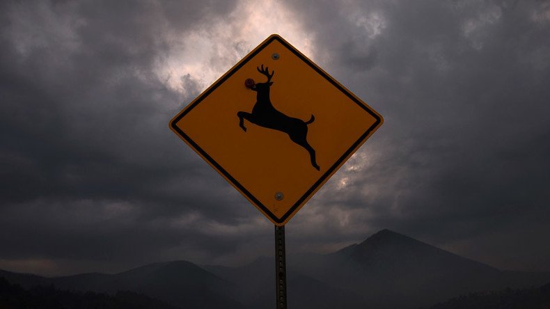 ‘Suicidal deer’ road sign kicks up a ruckus in Iowa