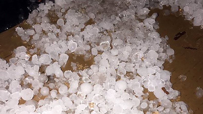 Oh hail no: Hailstorm kills animals in Texas zoo