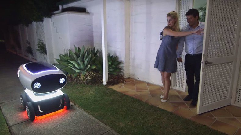 Global pizza chain tired of paying human drivers pittance unleashes delivery robot (VIDEO)