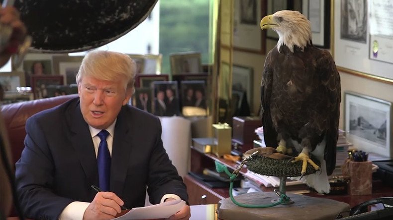 Winging it? Trump sued for using ‘iconic’ bald eagle photo without permission