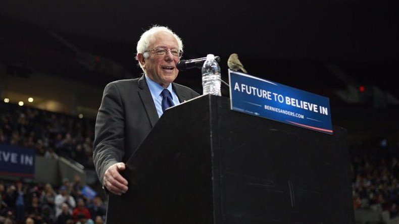 #BirdieSanders: Crowd goes wild when ‘dove in disguise’ joins Sanders on podium (VIDEO)