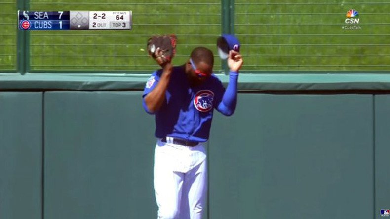 Chicago Cubs outfielder Jason Heyward attacked by bees during spring training (VIDEO)