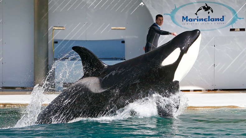 French marine park sued by activists over multiple animal deaths