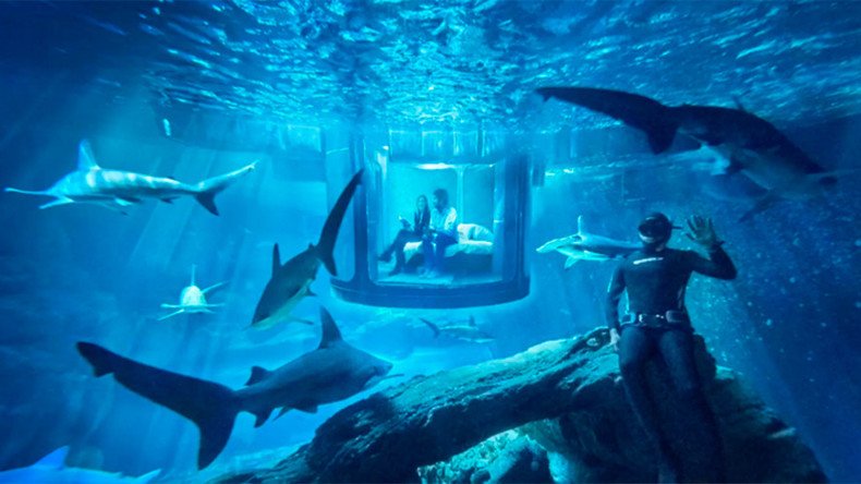 World’s first underwater Airbnb lets visitors sleep with sharks (VIDEO)