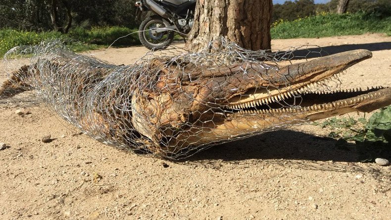 Rotting dead dolphin in Madrid park leaves police baffled (PHOTO)