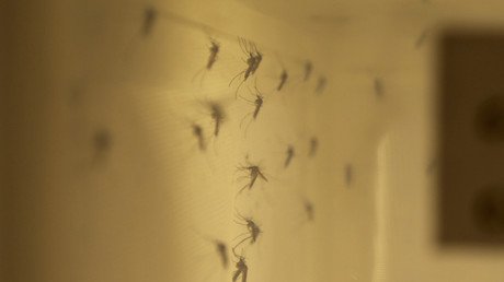 Zika virus can cause paralyzing disorder – study