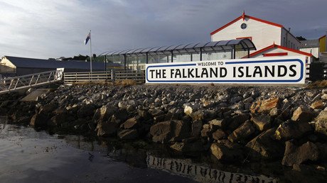 ‘Argentina covets the Falklands to mask its own incompetence’ – British colonel
