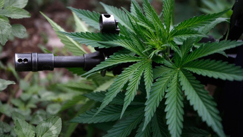 Guns & ganja: Alaska asks DoJ to revise regulations for users of guns & medical marijuana