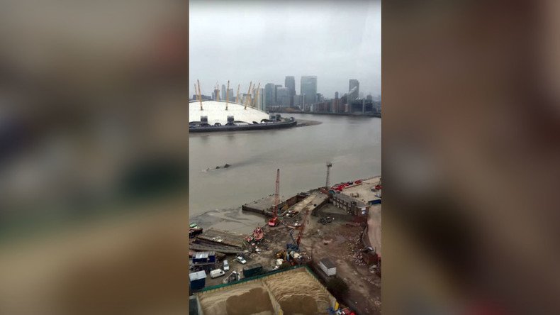 Thames Monster? ‘Nessie’ speculation rife as mysterious creature spotted in London (VIDEO, POLL)
