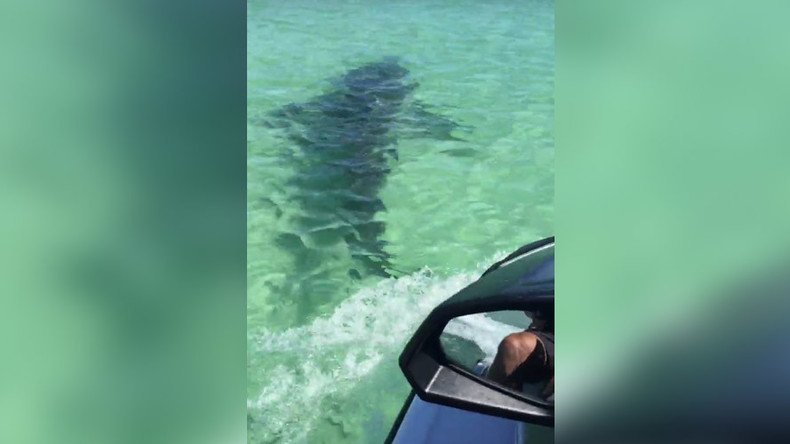 Terrifying close encounter caught on camera as shark attacks jet ski (VIDEO)