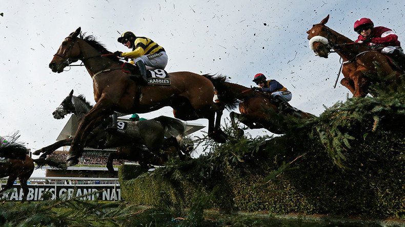 Grand National 2016: The lowdown on the horse race 600mn will be watching