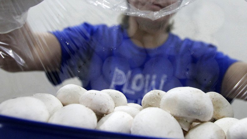 Unregulated shrooms: GMO mushroom gets clearance from USDA