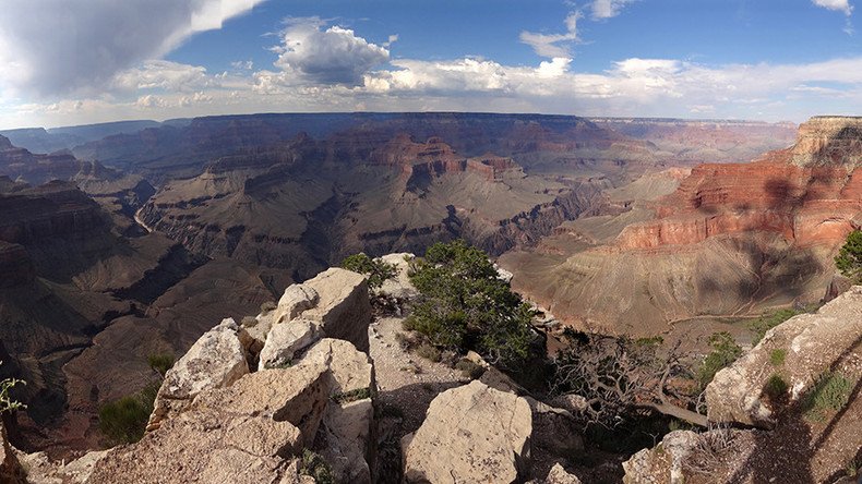 Billionaire Koch brothers allegedly fund pro-uranium mining plans in Grand Canyon – report