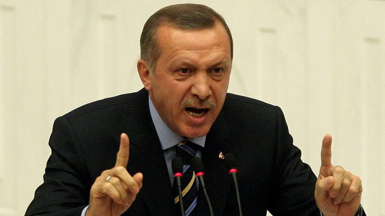  ‘Journalism in coma, Erdogan controls everything’: Gulenist freedoms advocate on Ankara’s policies