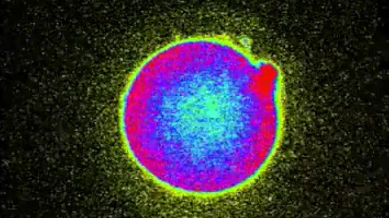 Seeing life in a new light: Scientists capture ‘transformative’ moment of human conception
