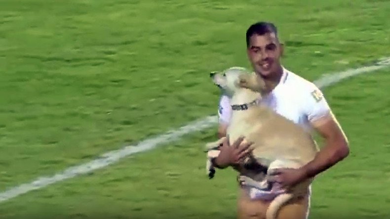 Pooch invasion: Fun-loving dog gives Mexican goalkeeper the run around (VIDEO)