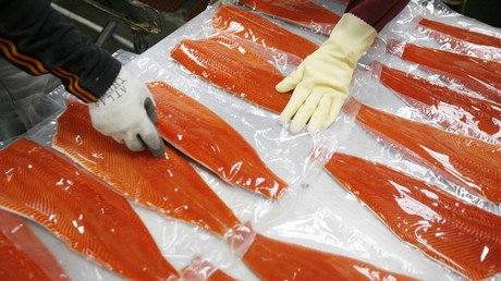 FDA sued over approval of genetically engineered ‘frankenfish’