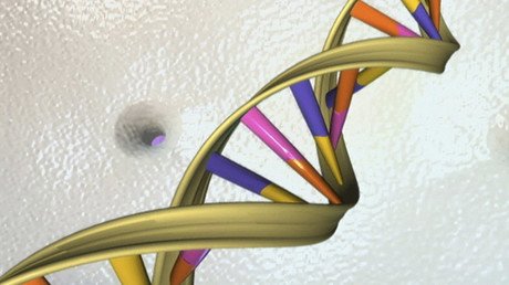 'Compact & durable’: Scientists encode, retrieve 10,000 gigabytes stored on DNA molecules