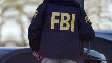 FBI informants act as 'honeypots' to entrap 21yo 'ISIS sympathizer' – report
