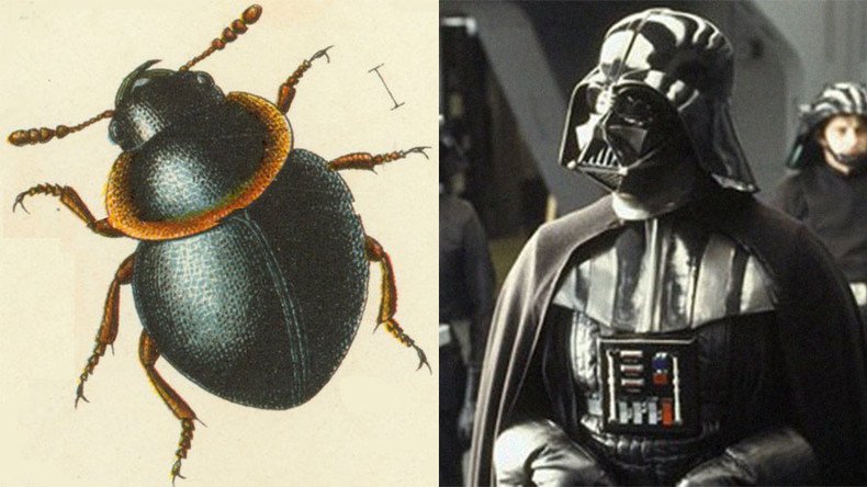 10 real life creatures named for fictional characters