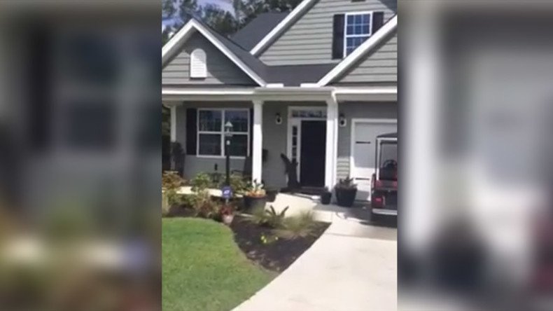 See you later: Gator caught trying to ring doorbell (VIDEO)