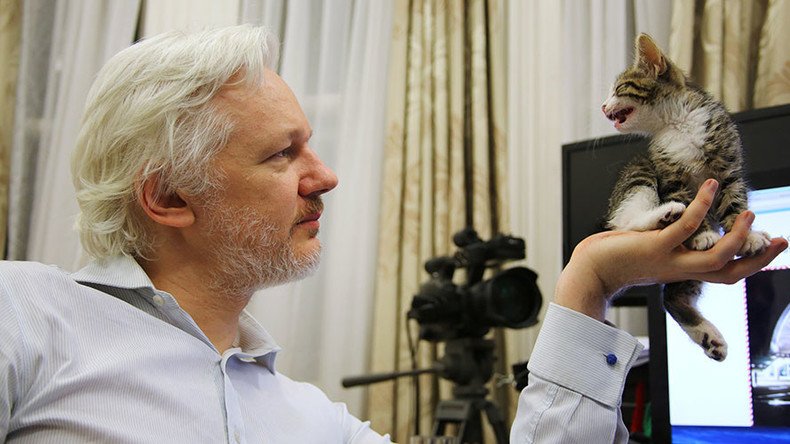 #Counterpurrveillance: WikiLeaks’ Julian Assange reveals tiny kitten companion in embassy (PHOTO)