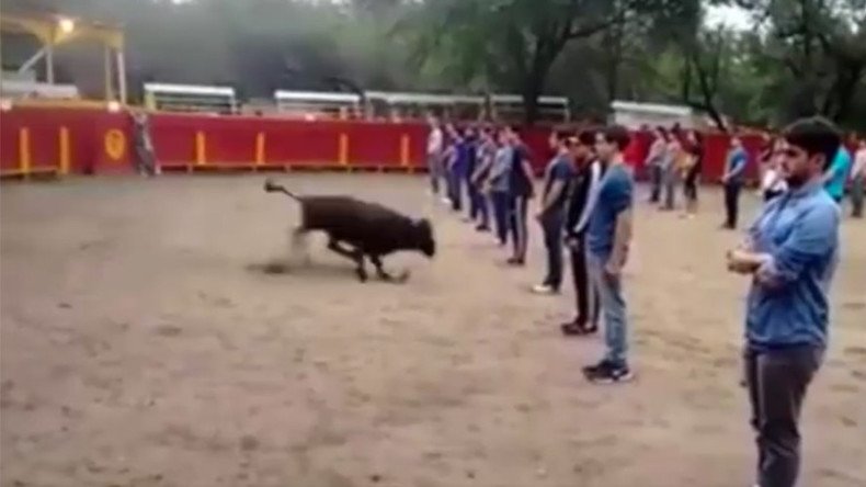 Teacher ‘experiments’ by releasing bull into arena full of students (VIDEO)