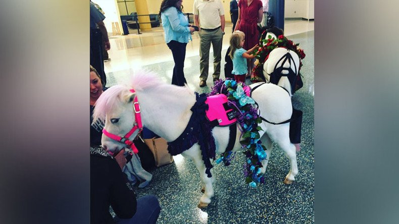 Unicorns, clowns, & music: US airports struggle to ease frustration amid long TSA lines