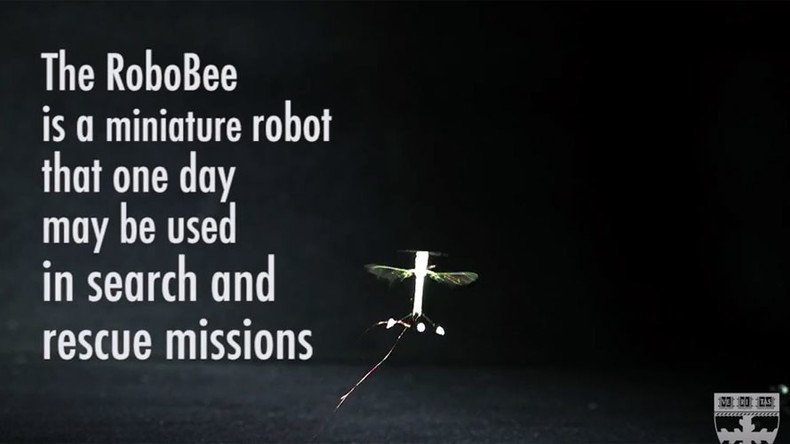 RoboBee: Engineers teach insect drones how to perch on ceiling (VIDEO)