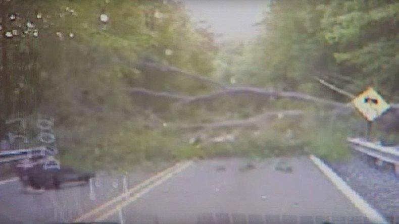 New branch of terror: Police officer downed by fallen tree (VIDEO)