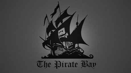 Swedish court hands Pirate Bay domain names back to state