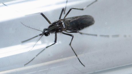 ‘A massive policy failure’: UN-body admits its fault for Zika virus spread 