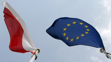 EU 'shouldn't try to be a superstate' says Polish FM