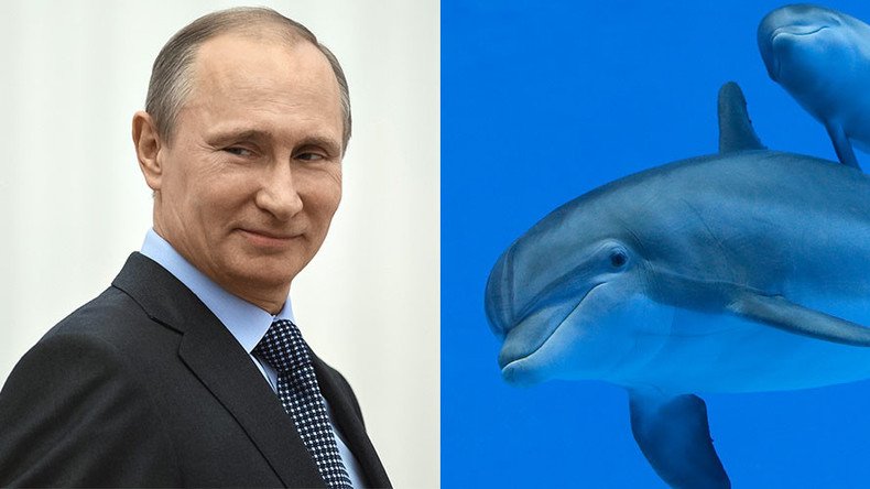 Who needs evidence? Putin teams up with dolphins for world domination (apparently)