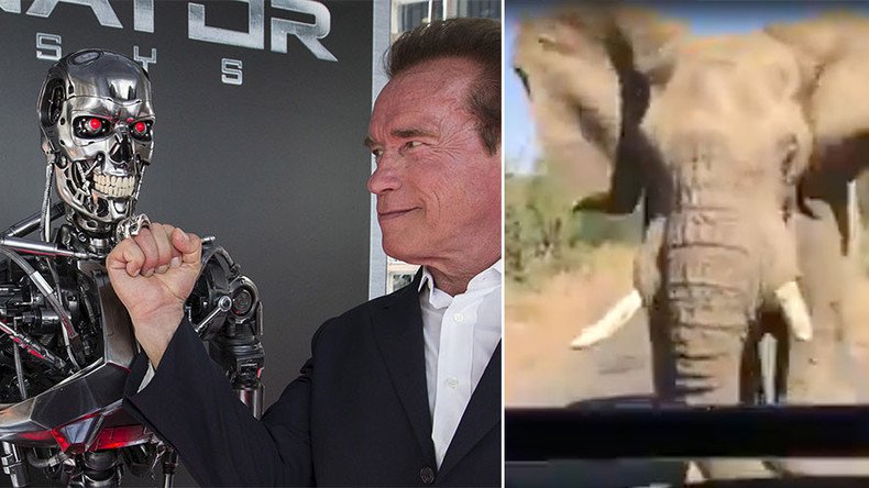 Arnold Schwarzenegger captures close encounter with enraged elephant on safari (VIDEO)