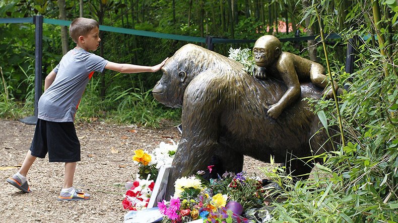 Cincinnati Zoo reopens gorilla enclosure with taller barrier (PHOTOS)