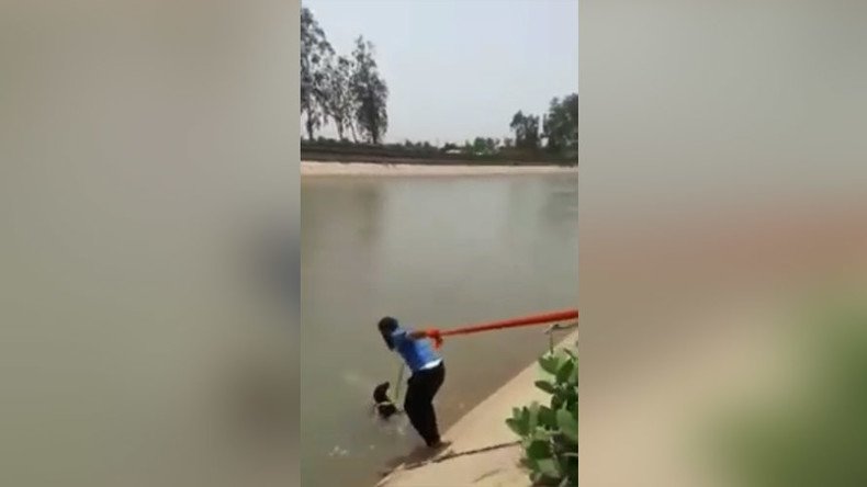 Sikh hero breaches ‘turban protocol’ to save drowning dog (VIDEO)