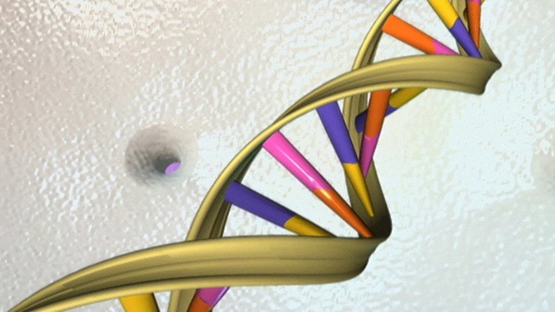 Cues for DNA curl-up inside us just as important as genetic code – study