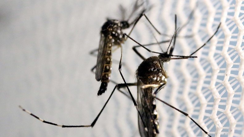 6 Zika-related pregnancies in US, half carried to term with birth defects