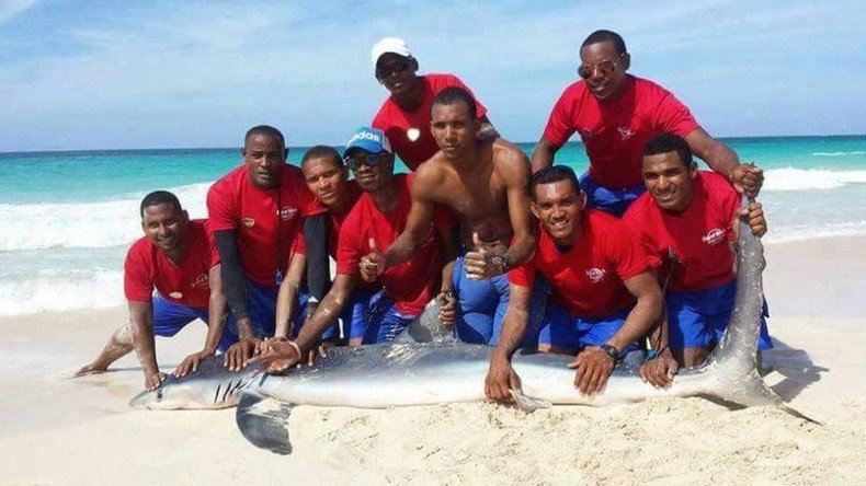Shark dies after lifeguards & tourists drag it out of sea for photos (VIDEO, PHOTOS)